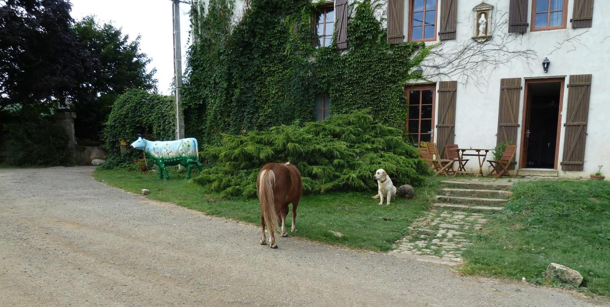 Bed and Breakfast Ferme Du Montheu Dommartin-sous-Amance Экстерьер фото